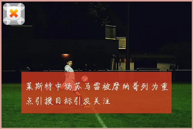 莱斯特中场苏马雷被摩纳哥列为重点引援目标引发关注