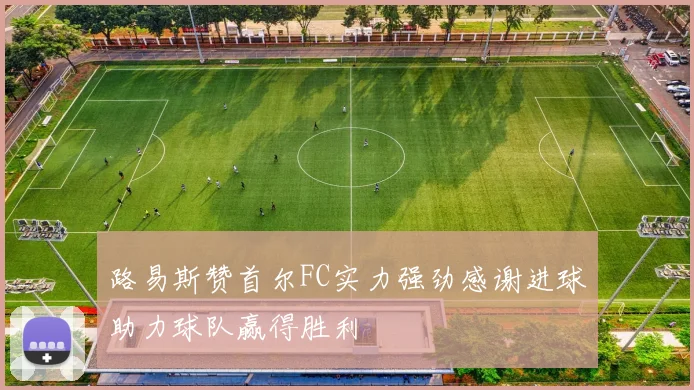 路易斯赞首尔FC实力强劲感谢进球助力球队赢得胜利