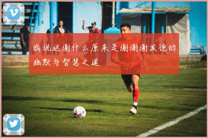 我说这谢什么原来是谢谢谢泼德的幽默与智慧之道