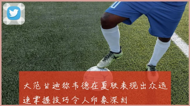 大范甘迪称韦德在夏联表现出众迅速掌握技巧令人印象深刻