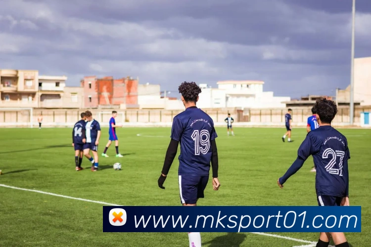 MK体育APP 封面图